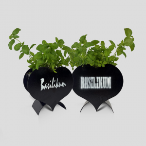 Kräuterherz ´Basilikum´