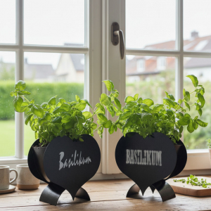 Kräuterherz ´Basilikum´